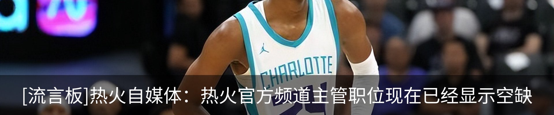 新闻动态